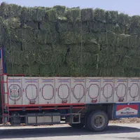 یونجه پرس خشک