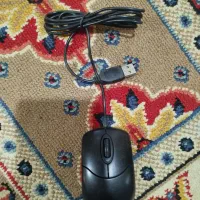 دوربین مداربسته|دوربین مداربسته|خان ببین, |دیوار