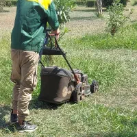 خدمات فضای سبز از صفر تا صد|خدمات باغبانی و درختکاری|بندر انزلی, گلسرخ|دیوار