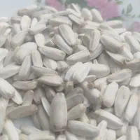 تخمه سفید درشت زیر قیمت کل ایران جزعی وکلی|عمدهفروشی|سبزوار, شرق کال عیدگاه|دیوار