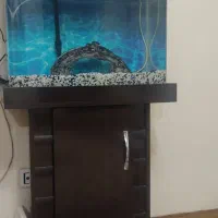 آکواریم 100شیشه خم