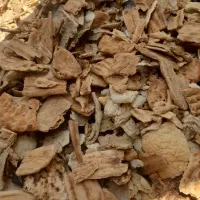 نان خشک دامی|لوازم جانبی حیوانات|رضویه, |دیوار