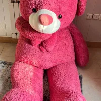 خرس بزرگ ۲ متری