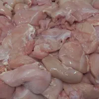 پروتئین آرین (مرغ  بوقلمون)|خوردنی و آشامیدنی|ساوه, |دیوار