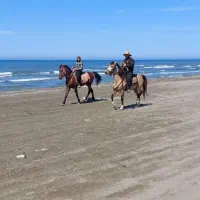 سوییت-تکخواب-داخل-شهرک-ساحلی-ایزدشهر-نور