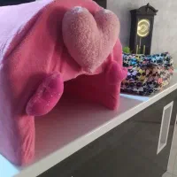 لوازم سگ و گربه مفت زیر قیمت