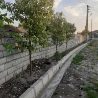 فروش-650-مترمربع-زمین-باغی-در-زرگر-شهر-بابل