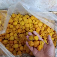 آلو خ صادرات