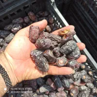 کار در بسته بندی