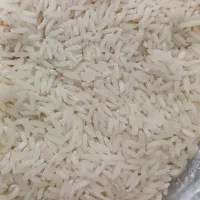 برنج هاشمی معطر گیلان از تولیدکننده بخر|خوردنی و آشامیدنی|پره‌سر, |دیوار
