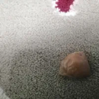 فروش یاقوت راف