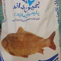 خوراک اکسترود ماهی کپور پروتئین بالا انبار مشهد