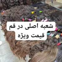 (*خریدار*فروش) مو طبیعی قیمت ویژه