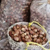 قصب ، خرمای شاهانی،شیره خرما و خارک بند شده جهرم|خوردنی و آشامیدنی|شیراز, گود خزینه|دیوار