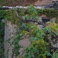 فروش-200-متر-ویلایی-شهمیرزاد-شهرک-ولیعصر