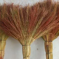 جارودستی/جارو/جارورشتی