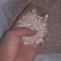 لوبیا چیتی