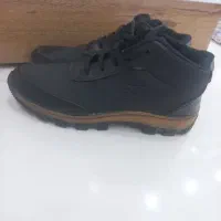 کفش مردانه۴۳