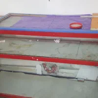 ویترین مغازه