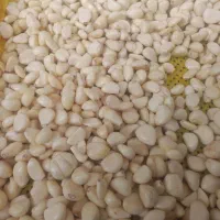 سیر پوست کنده|خوردنی و آشامیدنی|مشهد, شهرک صنعتی توس|دیوار
