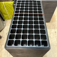 سینی نشا کوکوپیت