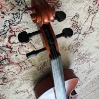 ویولون|ویولن|تبریز, |دیوار