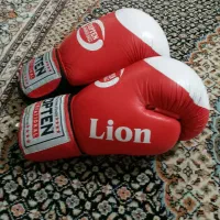 دسگش بوکس سایز (۱۰/۰۷)|تجهیزات ورزشی|تهران, جوادیه|دیوار