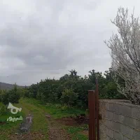 زمین-برای-سرمایه-گذاری-در-شمال