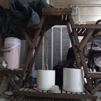 استند گل و گلدان سرامیکی|گل و گیاه طبیعی|یزد, |دیوار