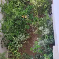 زمین-200-متری-حمیری-با-بر-13متر