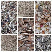 دانهسرای افشین|پرنده|اسدآباد, |دیوار