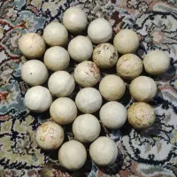 سنگ آسیاب