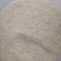 برنج چمپه اصل به شرط