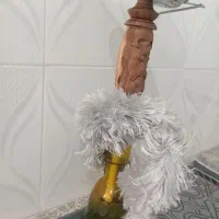 قلیون چوب گردو نو|کلکسیون و سرگرمی|نیشابور, چمبران|دیوار