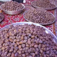 خرما گنطار