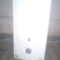 آبگرم کن دیواری بوتان 3115