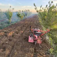 علف زنی باغچه ویلا باغ  کار خوب