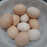 تخم مرغ لاری