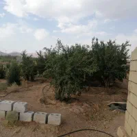 باغ|فروش دفتر صنعتی، کشاورزی، تجاری|تیران, |دیوار