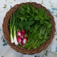 جاسبزی