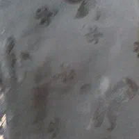 دوتاچادر در حد نو نو