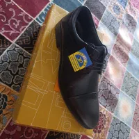 کوی