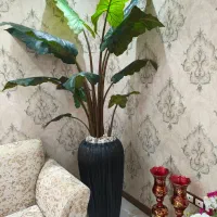 گلدان بزرگ ارتفاع ۱۸۵