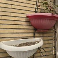 گلدان دیواری