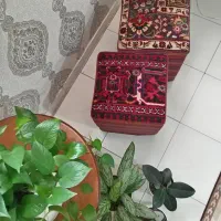 صندلی چوبی اصل و پاف|حراج|تهران, جنت‌آباد شمالی|دیوار