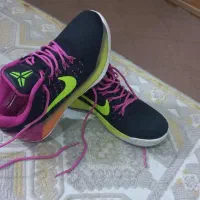 کفش|کیف، کفش، کمربند|سرپل ذهاب, |دیوار