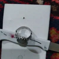 انگشتر دست دلبر ..شجر