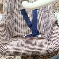 کریر نوزاد سالم درحد جنس خوب.