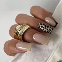 کاشت محدوده شهیاد