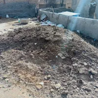 کود گوسفند پنج ساله